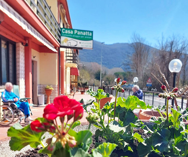 Il giardino
